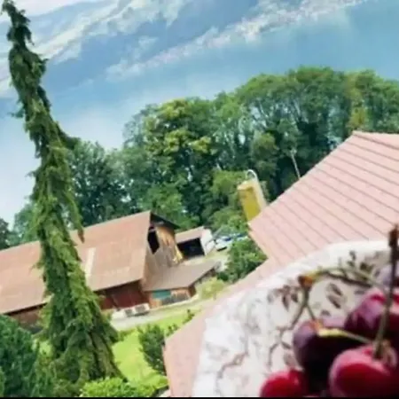 Apartmán Marianne's Rustic