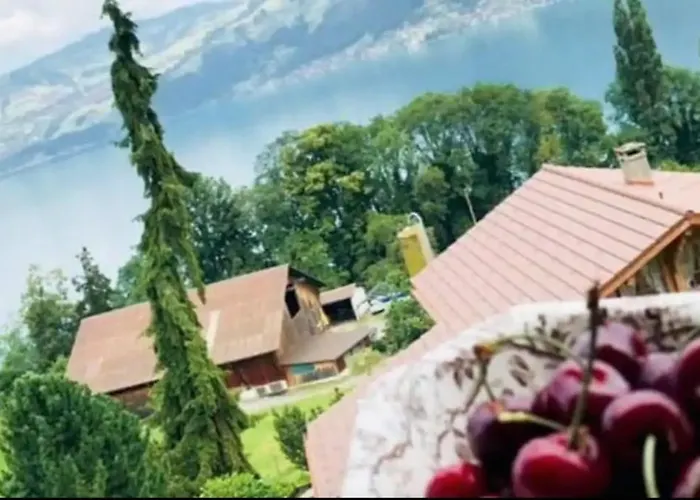 Apartment Marianne's Rustic